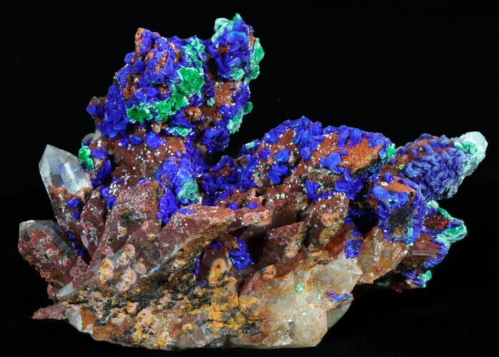 Vivid Azurite on Malachite With Quartz - Morocco #41013